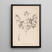 Herbier de la flore française Pl0331 - Louis Antoine Cusin — gerahmtes Bild an der Wand