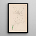Herbier de la flore française Pl0337 - Louis Antoine Cusin — gerahmtes Bild an der Wand