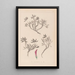 Herbier de la flore française Pl0355 - Louis Antoine Cusin — gerahmtes Bild an der Wand