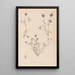 Herbier de la flore française Pl0357 - Louis Antoine Cusin — gerahmtes Bild an der Wand