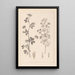 Herbier de la flore française Pl0381 - Louis Antoine Cusin — gerahmtes Bild an der Wand