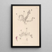 Herbier de la flore française Pl0399 - Louis Antoine Cusin — gerahmtes Bild an der Wand