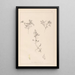 Herbier de la flore française Pl0401 - Louis Antoine Cusin — gerahmtes Bild an der Wand