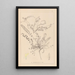 Herbier de la flore française Pl0418 - Louis Antoine Cusin — gerahmtes Bild an der Wand