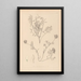 Herbier de la flore française Pl0432 - Louis Antoine Cusin — gerahmtes Bild an der Wand