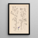 Herbier de la flore française Pl0464 - Louis Antoine Cusin — gerahmtes Bild an der Wand