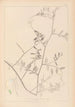 Herbier de la flore française Pl0466 - Louis Antoine Cusin — Ansicht des Kunstwerks