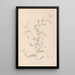 Herbier de la flore française Pl0479 - Louis Antoine Cusin — gerahmtes Bild an der Wand