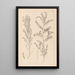 Herbier de la flore française Pl0487 - Louis Antoine Cusin — gerahmtes Bild an der Wand