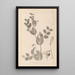 Herbier de la flore française Pl0491 - Louis Antoine Cusin — gerahmtes Bild an der Wand