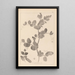 Herbier de la flore française Pl0493 - Louis Antoine Cusin — gerahmtes Bild an der Wand