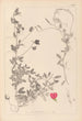 Herbier de la flore française Pl0510 - Louis Antoine Cusin — Ansicht des Kunstwerks