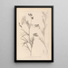 Herbier de la flore française Pl0516 - Louis Antoine Cusin — gerahmtes Bild an der Wand