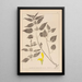 Herbier de la flore française Pl0832 - Louis Antoine Cusin — gerahmtes Bild an der Wand