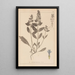Herbier de la flore française Pl0896 - Louis Antoine Cusin — gerahmtes Bild an der Wand