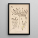 Herbier de la flore française Pl0914 - Louis Antoine Cusin — gerahmtes Bild an der Wand