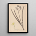 Herbier de la flore française Pl0971 - Louis Antoine Cusin — gerahmtes Bild an der Wand