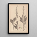 Herbier de la flore française Pl0988 - Louis Antoine Cusin — gerahmtes Bild an der Wand
