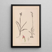 Herbier de la flore française Pl1012 - Louis Antoine Cusin — gerahmtes Bild an der Wand