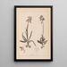 Herbier de la flore française Pl1021 - Louis Antoine Cusin — gerahmtes Bild an der Wand