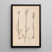 Herbier de la flore française Pl1024 - Louis Antoine Cusin — gerahmtes Bild an der Wand