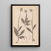 Herbier de la flore française Pl1028 - Louis Antoine Cusin — gerahmtes Bild an der Wand
