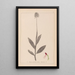Herbier de la flore française Pl1030 - Louis Antoine Cusin — gerahmtes Bild an der Wand