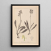 Herbier de la flore française Pl1033 - Louis Antoine Cusin — gerahmtes Bild an der Wand