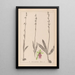 Herbier de la flore française Pl1056 - Louis Antoine Cusin — gerahmtes Bild an der Wand