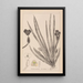 Herbier de la flore française Pl1061 - Louis Antoine Cusin — gerahmtes Bild an der Wand