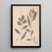 Herbier de la flore française Pl1075 - Louis Antoine Cusin — gerahmtes Bild an der Wand