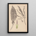 Herbier de la flore française Pl1105 - Louis Antoine Cusin — gerahmtes Bild an der Wand