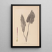 Herbier de la flore française Pl1108 - Louis Antoine Cusin — gerahmtes Bild an der Wand