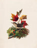 Vogel mit Herbstblättern - Louis Prang — Ansicht des Kunstwerks