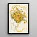 Boutons d'or - Louis Prang — gerahmtes Bild an der Wand