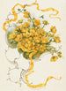 Boutons d'or - Louis Prang — Ansicht des Kunstwerks