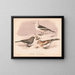 Schneevogel - Louis Prang Co — gerahmtes Bild an der Wand