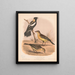 Ein Bobolink oder Reissänger, männlich im Sommer, männlich im Winter, weiblich - Louis Prang Co — gerahmtes Bild an der Wand