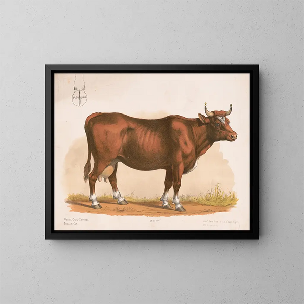 Kuh - Louis Prang Co — gerahmtes Bild an der Wand