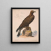 Adler - Louis Prang Co — gerahmtes Bild an der Wand