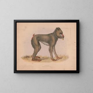 Mormon Maimon Gray - Louis Prang Co — gerahmtes Bild an der Wand
