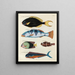 Fische, Flusskrebse und Krabben in verschiedenen Farben und außergewöhnlichen Figuren Pl022 - Louis Renard — gerahmtes Bild an der Wand