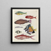Fische, Flusskrebse und Krabben in verschiedenen Farben und außergewöhnlichen Figuren Pl030 - Louis Renard — gerahmtes Bild an der Wand