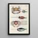 Fische, Flusskrebse und Krabben in verschiedenen Farben und außergewöhnlichen Figuren Pl092 - Louis Renard — gerahmtes Bild an der Wand
