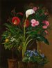 Oranger Streptocarpus Oleander Un Calla Lily Und Kakteenblumen - Louise Garlieb — Ansicht des Kunstwerks