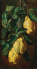 Coings - Ludwig Adam Kunz — Ansicht des Kunstwerks