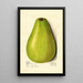 Persea Butler - M Strange — gerahmtes Bild an der Wand