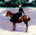 Mademoiselle Meuriot sur son poney - Jacquesmile Blanche — Ansicht des Kunstwerks
