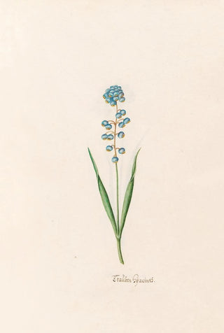 Magdelena Rosina Funck - Eraben hacints.webp