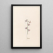 Jacinthes - Magdalena Rosina Funck — gerahmtes Bild an der Wand
